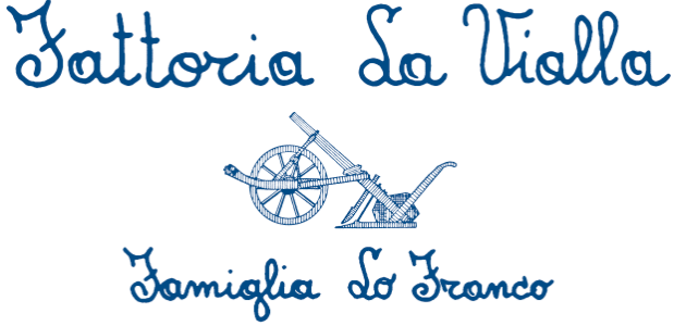 Logo Flv