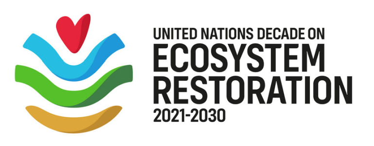 Logo Ecosystem