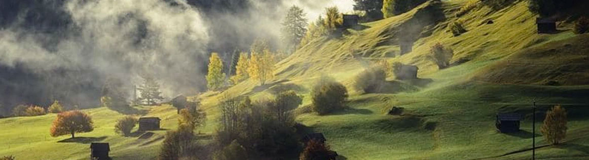 Natur Thin